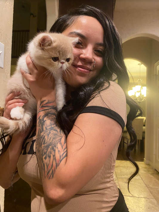 Happy Kitty Amour family with their Exotic Shorthair